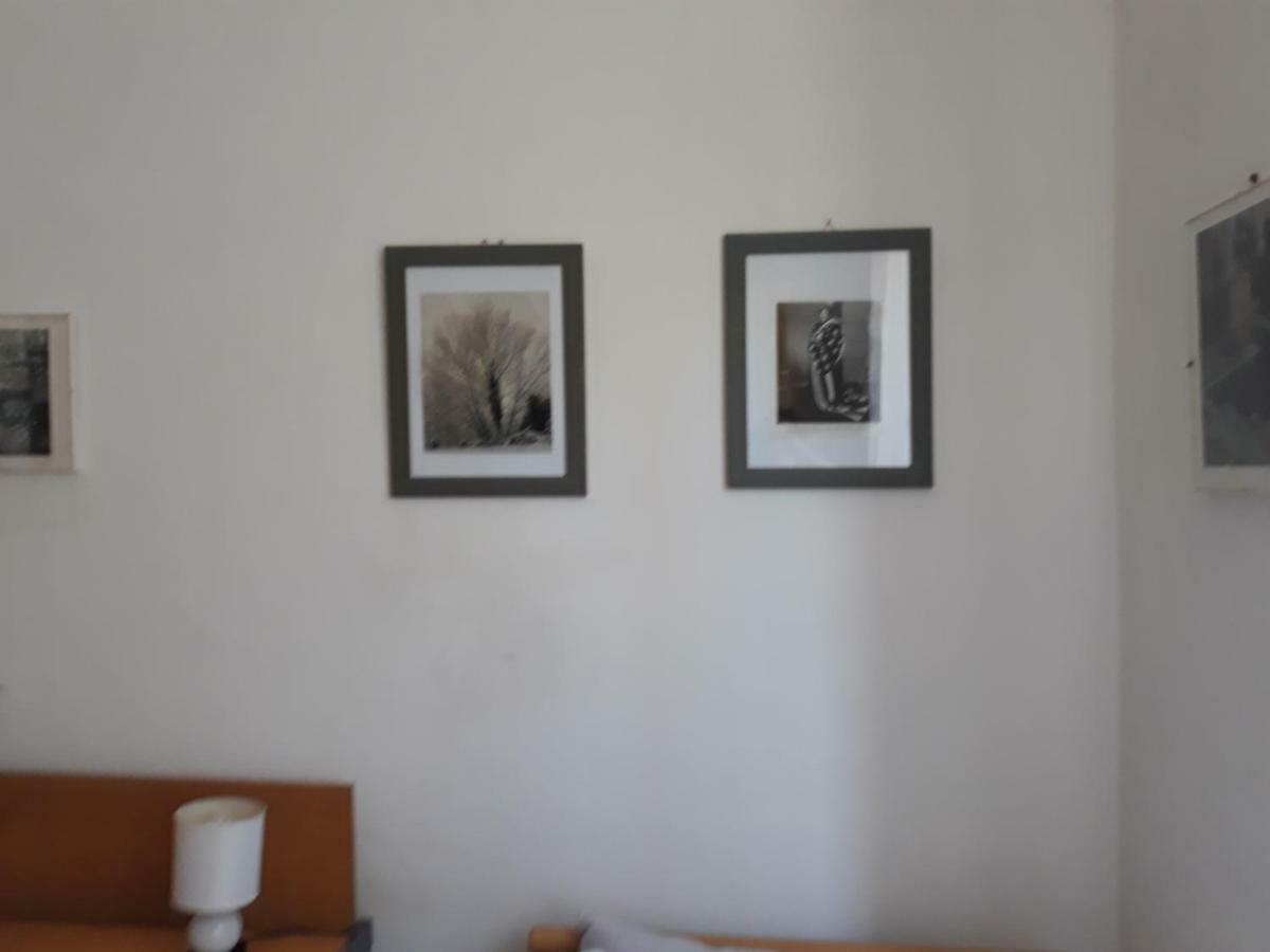 Bed In Siena Ξενοδοχείο Tognazza Εξωτερικό φωτογραφία